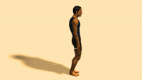 stance posture