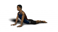 stretch exercise back
