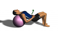 core stability 23b