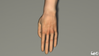 pols hand klachten
